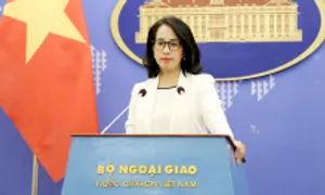 Việt Nam hoan nghênh thỏa thuận ngừng bắn Israel - Hezbollah Việt Nam hoan nghênh thỏa thuận ngừng bắn Israel - Hezbollah
