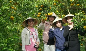 Thụy Sĩ tài trợ hơn 100 tỷ đồng phát triển du lịch bền vững tại Việt Nam Thụy Sĩ tài trợ hơn 100 tỷ đồng phát triển du lịch bền vững tại Việt Nam