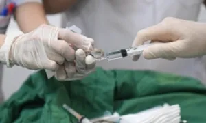 Nguy cơ ung thư hóa từ vết thương chó cắn Nguy cơ ung thư hóa từ vết thương chó cắn