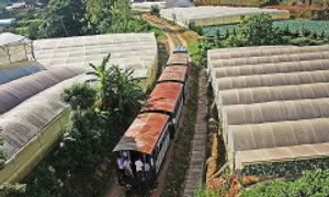 Trung Quốc muốn tham gia khôi phục đường sắt Đà Lạt - Tháp Chàm Trung Quốc muốn tham gia khôi phục đường sắt Đà Lạt - Tháp Chàm