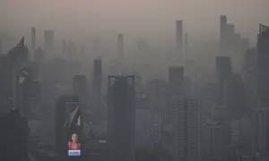 Tác động của môi trường sống lên sức khỏe toàn diện Tác động của môi trường sống lên sức khỏe toàn diện