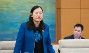 'Không nên đánh thuế tiêu thụ đặc biệt với xăng, điều hòa' 'Không nên đánh thuế tiêu thụ đặc biệt với xăng, điều hòa'